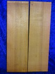 old spruce 3173from estate