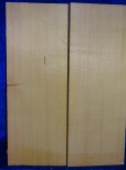 alte Fichte 3689 Hasel