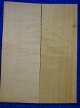 Fichte 3780 Gitarre Hasel