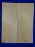 Fichte 3947 Gitarre