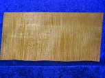 ganzer Ahorn 1006 aus Nachlass