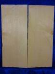 Spruce 1257 Guitar bearclaw