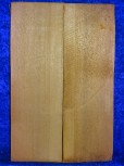 old spruce 1491 from estate