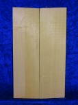 Spruce 1642