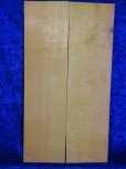 Spruce 1644 bearclaw