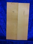 Spruce 1829