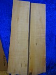 maple 2407