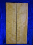Maple 2486Cello