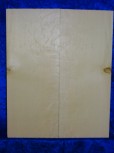 Fichte 2522 Gitarre Hasel