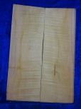 Ahorn 2535 Gitarre
