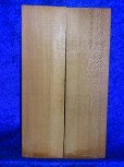 alte Fichte 2601 aus Nachlass