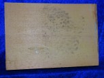 one-piece spruce 2650 bearclaw