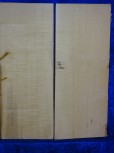 Ahorn 2854 Gitarre