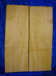 Ahorn 3174 Gitarre