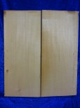 alte Fichte 3565