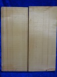 alte Fichte 3567 Mondholz