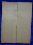 Fichte 3554 Gitarre Nachlass