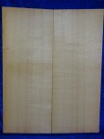 Fichte 3559 Gitarre Nachlass
