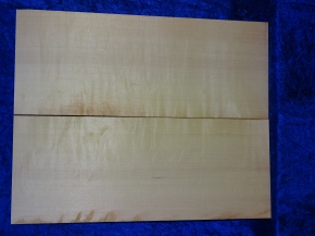 Spruce 3665 Guitar bearclaw