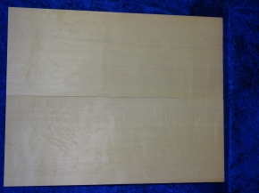 Fichte 3667 Gitarre Hasel