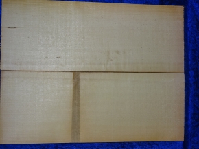 Fichte 3682 Gitarre Nachlass Hasel