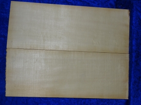 Fichte 3683 Gitarre Nachlass Hasel