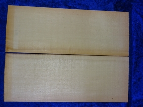 Fichte 3690 Gitarre Nachlass