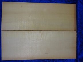 Fichte 3692 Gitarre Nachlass Hasel