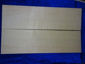 alte Fichte 3720 Hasel