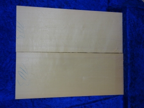 Fichte 3726 Gitarre Hasel