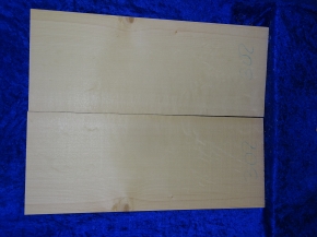 Fichte 3727 Gitarre Hasel