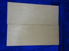 Fichte 3728 Gitarre Hasel