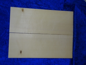 Fichte 3729 Gitarre Hasel