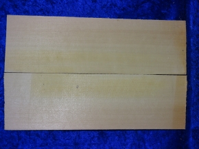 Spruce 3743