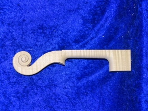 Violahals 3823