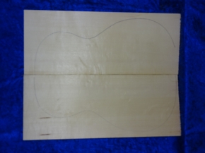 Fichte 3851 Gitarre Hasel