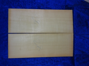 Fichte 3858 Gitarre Nachlass