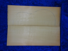 Fichte 3860 Gitarre Nachlass