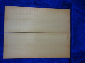 Fichte 3861 Gitarre Nachlass