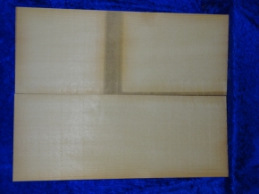 Fichte 3862 Gitarre Nachlass