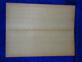 Fichte 3868 Gitarre Nachlass
