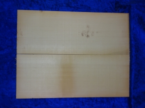 Fichte 3870 Gitarre Nachlass
