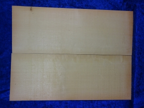 Fichte 3881 Gitarre Nachlass Hasel