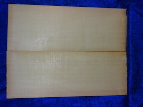 Fichte 3883 Gitarre Nachlass Hasel