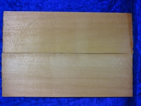 alte Fichte 3902 aus Nachlass