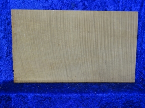 ganzer Ahorn 3942 aus Nachlass