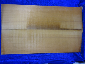 very old spruce 3976 from estate