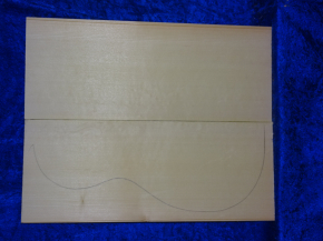Fichte 4031 Gitarre Hasel