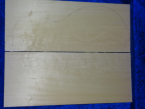 Fichte 4032 Gitarre Hasel