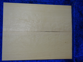 Fichte 4033 Gitarre Hasel